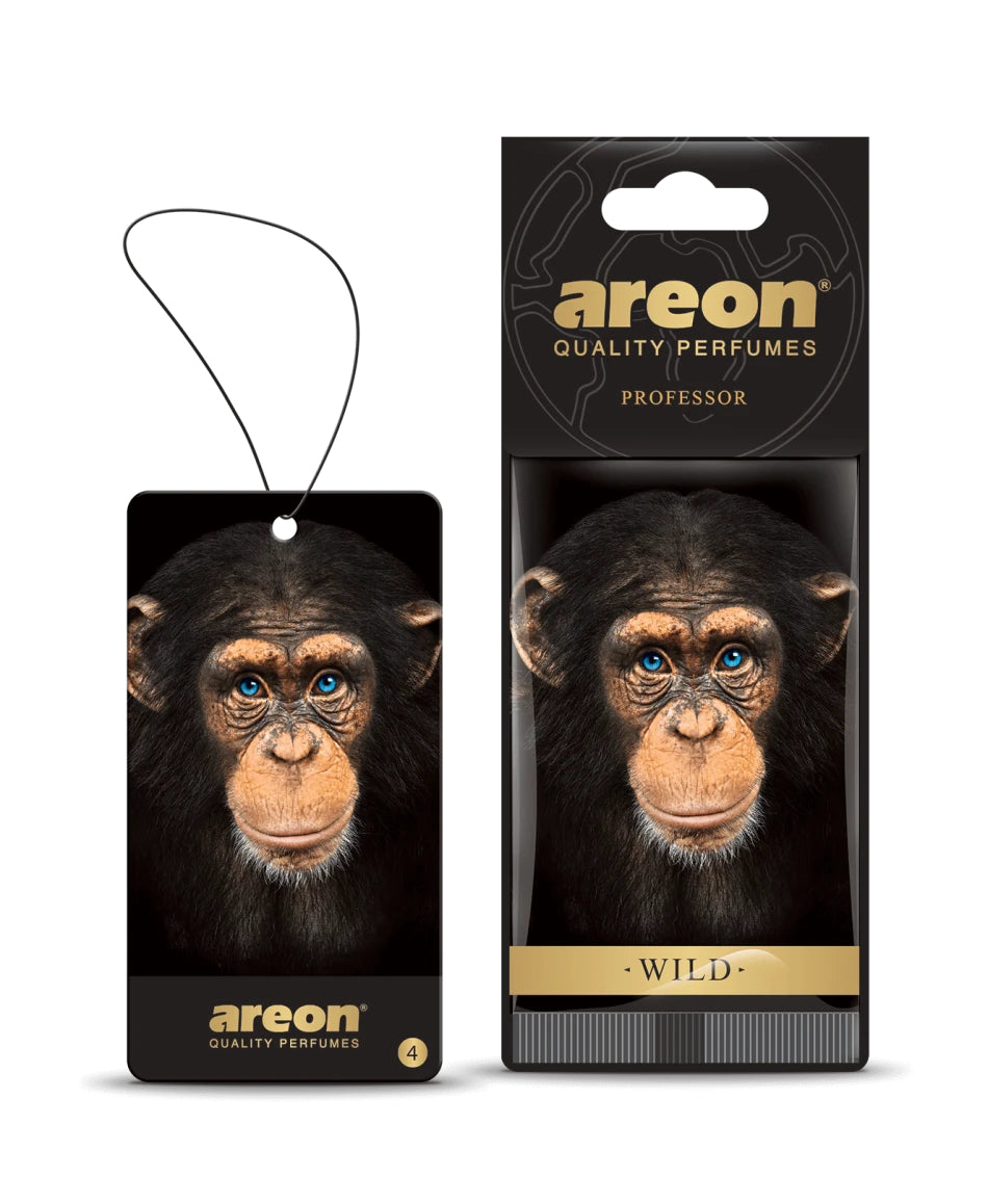 AROMATIK AREON DRY WILD - PROFESSOR