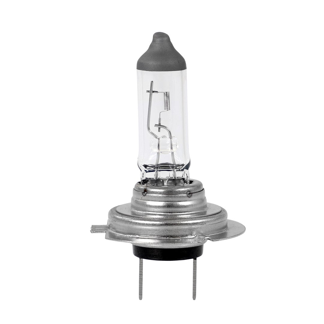 LLAMPA M-Tech H7 12V 55W PX26d CLEAR MT-Z7-C1