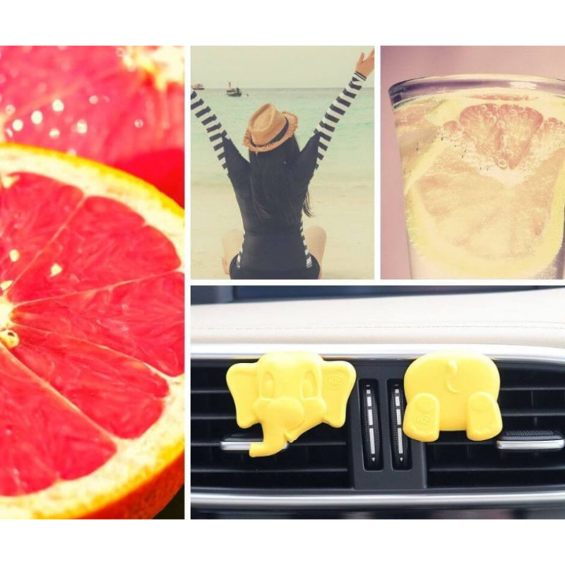 AROMATIK K2 ARLO GRAPEFRUIT - V89GRA