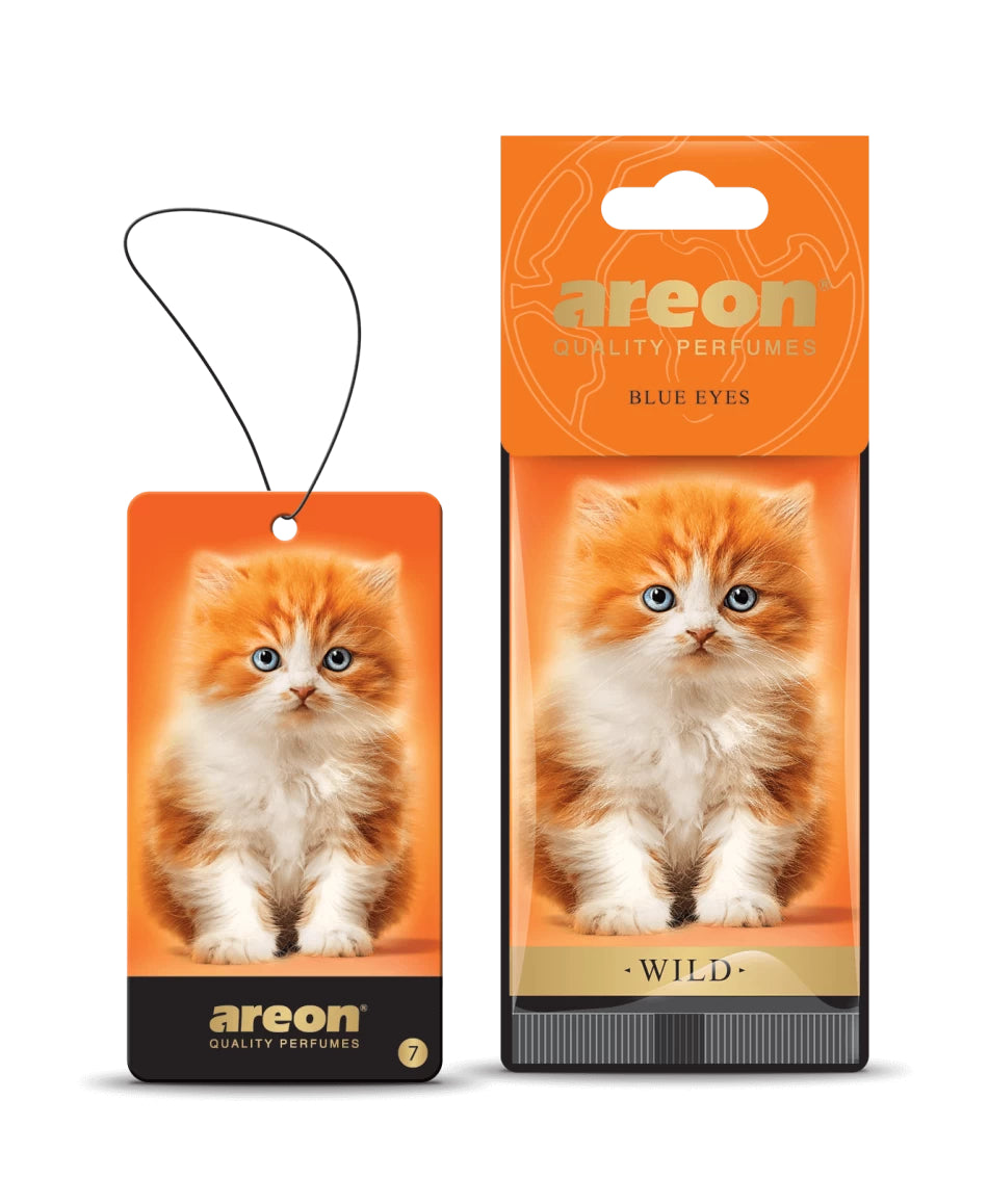AROMATIK AREON DRY WILD - BLUE EYES