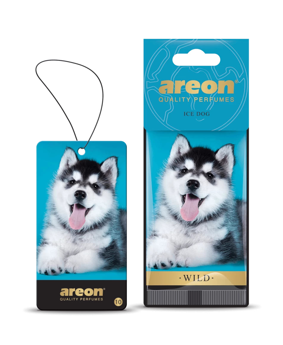 AROMATIK AREON DRY WILD - ICE DOG