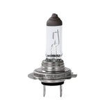 LLAMPA M-Tech H18 12V 65W PY26d-1 CLEAR MT-Z128-C1