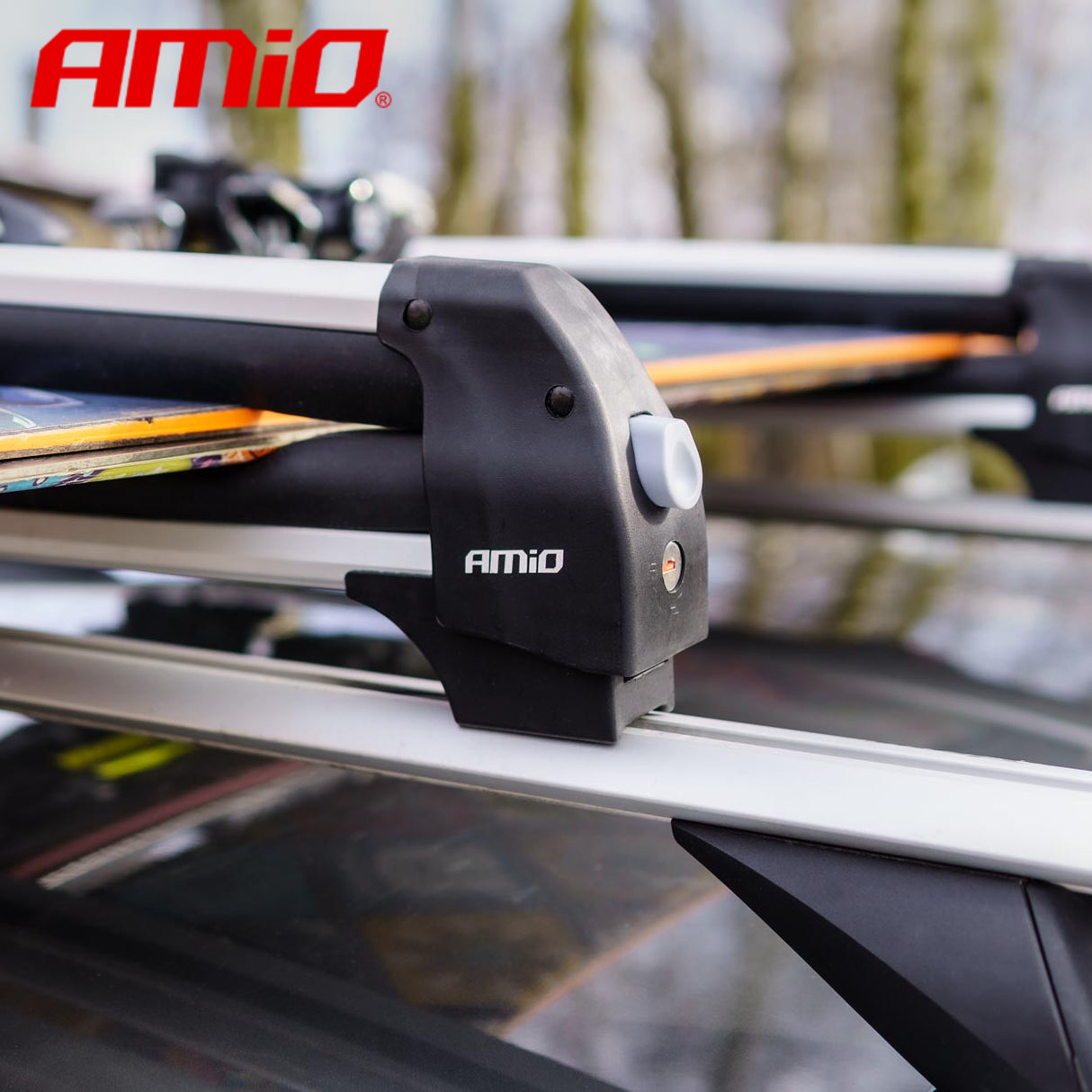 ZGARE PER SKI/ SNOWBOARD AMIO AM-02591 760mm