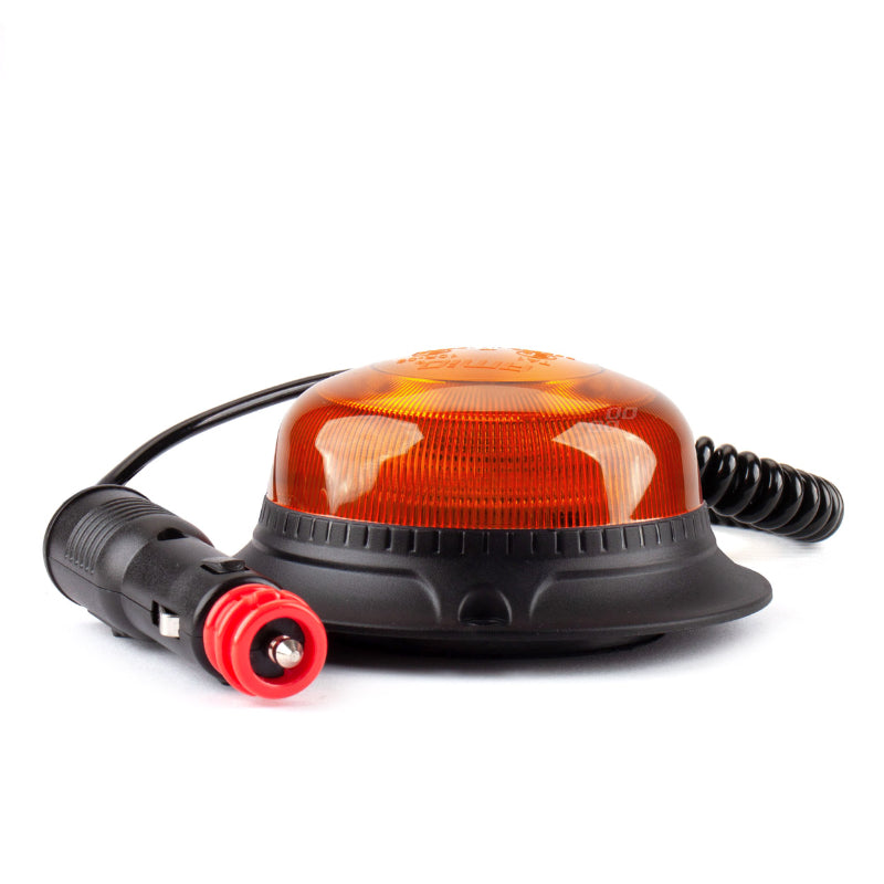 Fenelinë LED AMiO AM-02925, 12–24 V