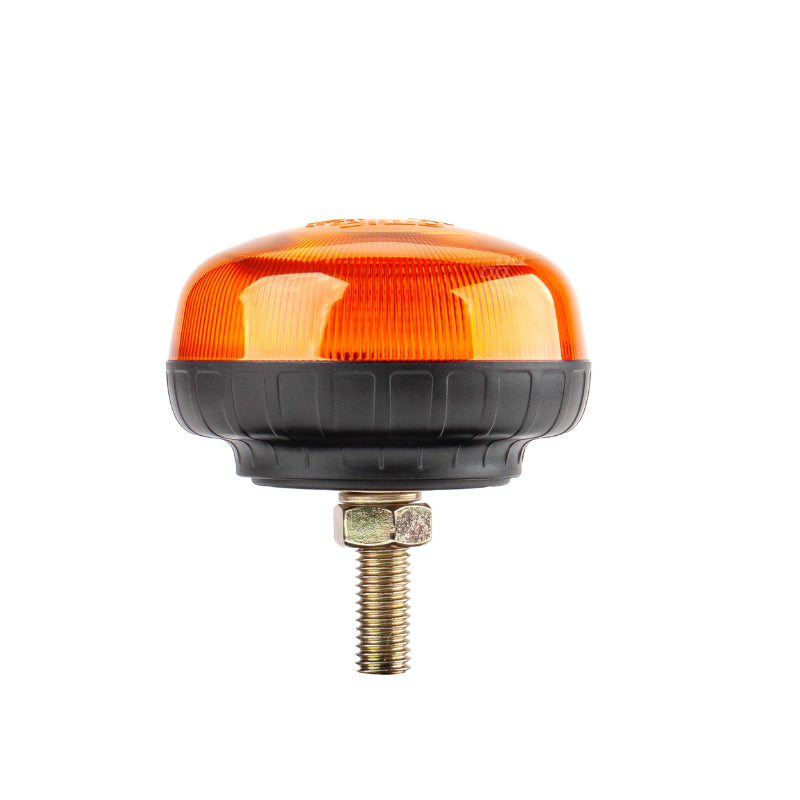 Fenelinë LED AMiO AM-02923, 12–24 V
